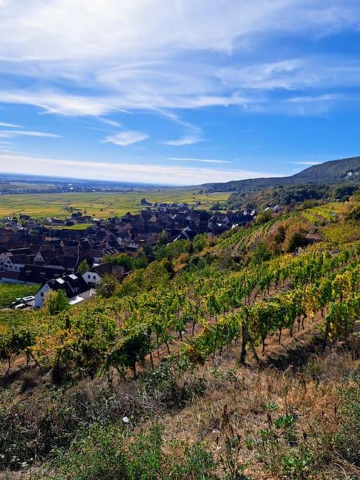 Entre Vignes Et Vergers Gite Parenthese Гебершвир Экстерьер фото
